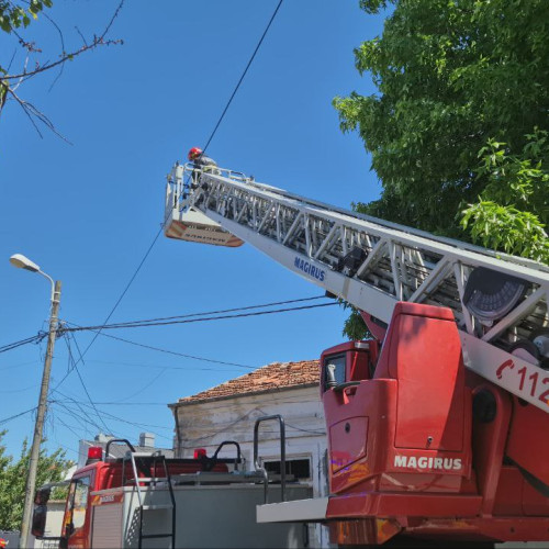 Incendiu la o locuință din Iași, intervenție în desfășurare