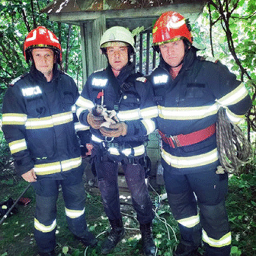 Pompierii hunedoreni au salvat un motan și o bivolită