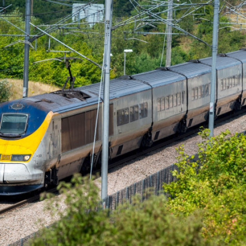 Interdicție temporară de import a alimentelor din UE în Marea Britanie pentru combaterea febrei aftoase