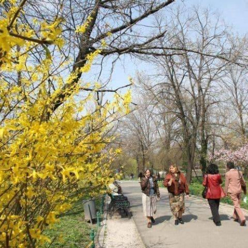 Meteo: Vreme caldă în România până la jumătatea lunii martie