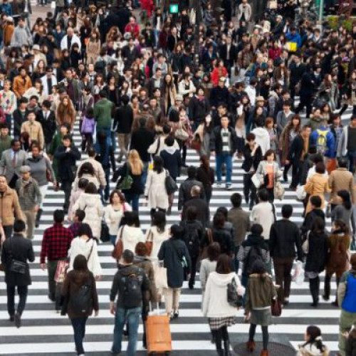 Statistica Populației din Județul Dâmbovița în Noiembrie 2023