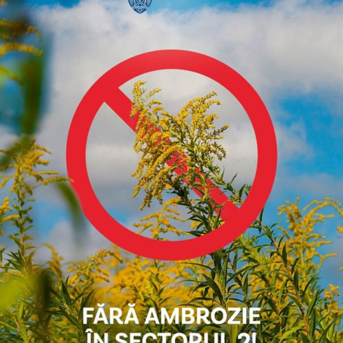 Poliția locală sector 2 deschide acțiuni pentru controlul ambroziei pe terenurile din sector