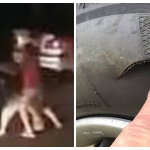 conflict violent în Apahida, cluj, și condamnarea agresorului