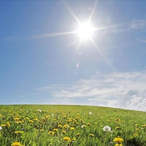 Vremea se încălzește în România, cu temperaturi ridicate în sud-vest