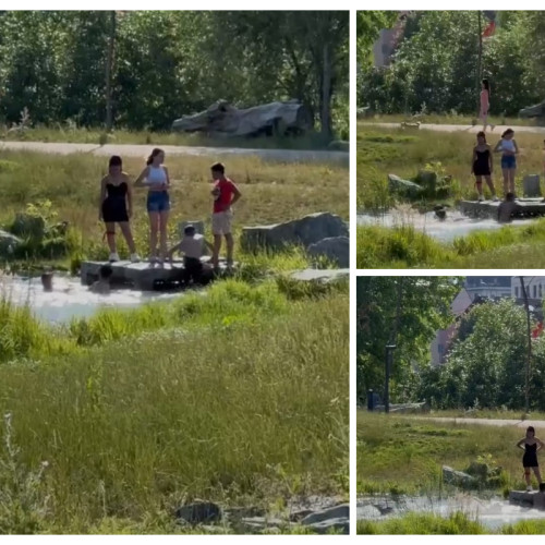 copiii din cluj surprinși în lacul din parcul feroviarilor în timpul temperaturilor ridicate