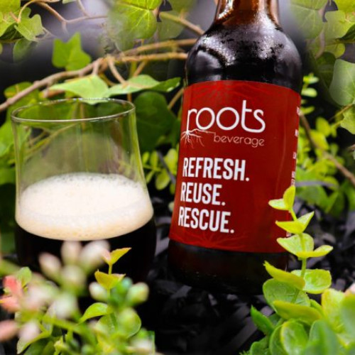 Universitatea de Științele Vieții „Ion Ionescu de la Brad” din Iași va participa la concursul național Ecotrophelia 2025, organizat la Universitatea de Științe Agronomice și Medicină Veterinară din București. În competiție va fi prezentată o echipă de studenți care propune un produs inovator: ROOTS, o băutură artizanală, fără alcool, realizată prin fermentare naturală din ingrediente recuperate. Aceasta revalorifică tradiția și contribuie la reducerea risipei alimentare.