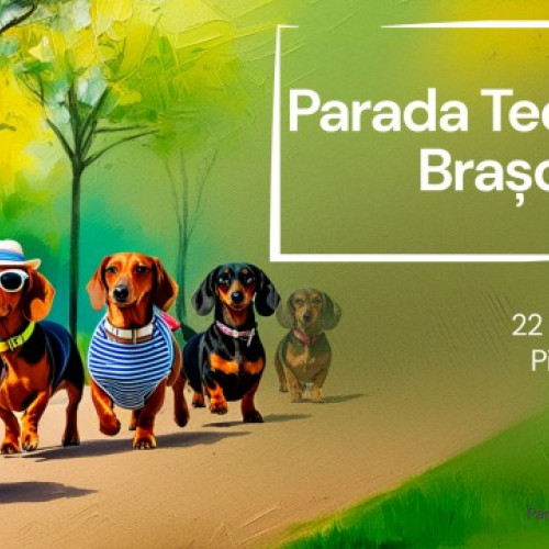 prima paradă a teckelilor la brașov: zeci de câini din rasa "carnat" se întâlnesc pe pietonalul coresi