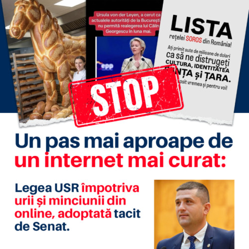 senatorii din românia au adoptat inițiativa de combatere a manipularii din mediul online