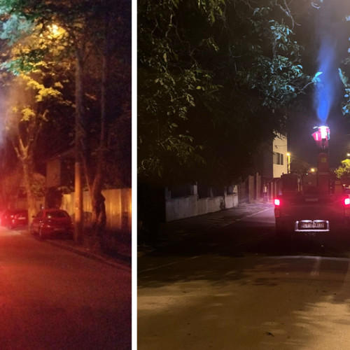 Eforturi zilnice pentru combaterea insectelor în Constanța