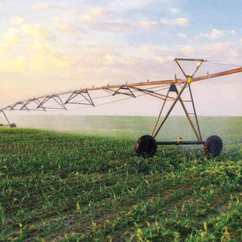 Furt în centrul Ploieștiului: autorii au fost prinși după o urmărire