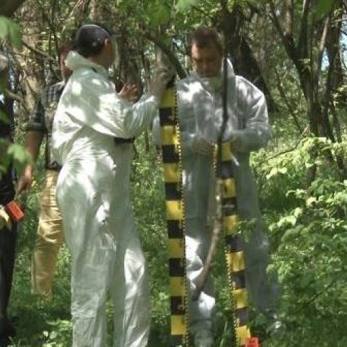 Număr crescut de cazuri de sinucidere prin spânzurare în ultimele săptămâni