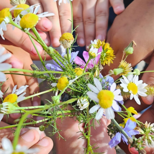 românia pierde mulți copii din cauza abandonului școlar, iar rata este cea mai mare din Uniunea Europeană, potrivit datelor recente. La o școală din orașul Chitila, aproape de București, un reporter Digi24.ro a vizitat o clasă cu elevi proveniți din medii vulnerabile. Acești copii, chiar dacă au boli și dificultăți de învățare, se arată bucuroși că pot fi prezenți la școală și participa activ.