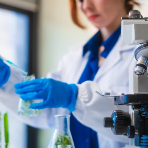 Noul test genomic promite îmbunătățirea detectării cancerului pancreatic în stadii incipiente