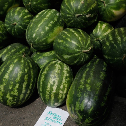 Cultivarea pepenilor românești, în pericol din cauza schimbărilor climatice