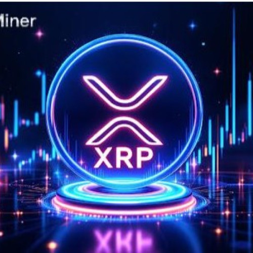 Bow Miner: oportunități noi în piața de creștere a Bitcoin și mining verde