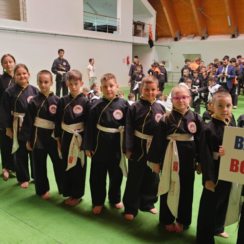 tineri din botosani, obținere de medalii la cupe naționale de artă marțială