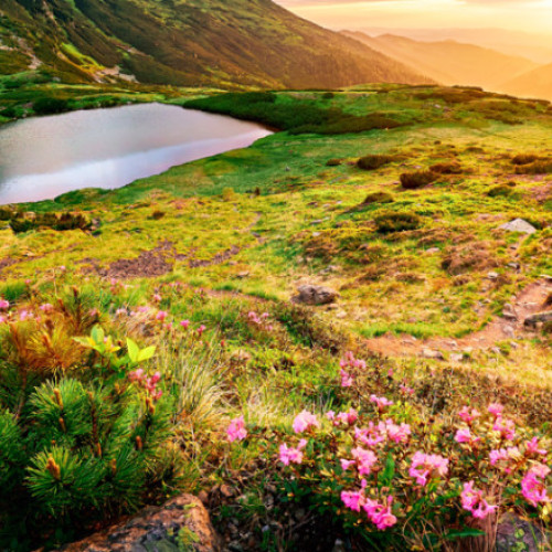 România are la dispoziție două luni pentru a-și proteja siturile Natura 2000