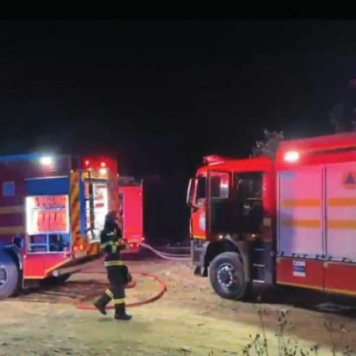 F. T. a fost prins în flagrant în timp ce încerca să comită o faptă ilegală