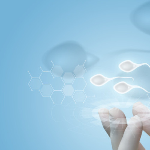 suedia și belgia propun limite europene pentru donatorii de spermă ca măsură de prevenție