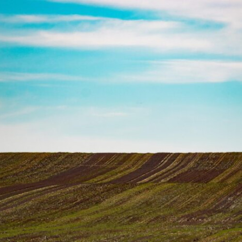 Numărul documentelor eliberate online de ANCPI a crescut semnificativ în primele luni ale anului 2025