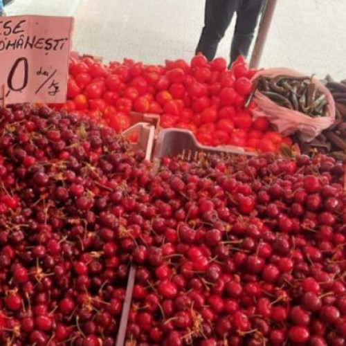 Vandalismul în livezile din Cluj devine o problemă din ce în ce mai serioasă