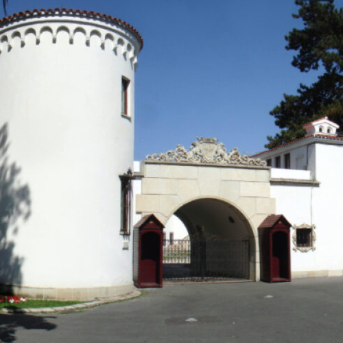 mai mulți tineri din botoșani vor fi premiați la palatul elisabeta în cadrul concursului „basmele reginei maria”