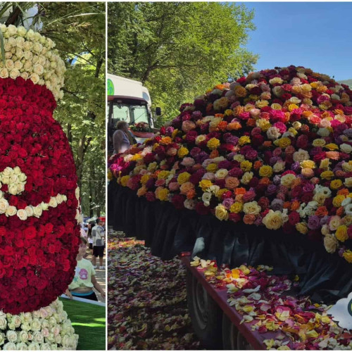 sarbatoarea rozelor din 2025 la aiud: eveniment plin de surprize și tradiție