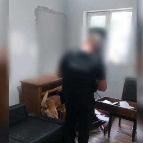 trafic de droguri descoperit la Făgăraș de autorități