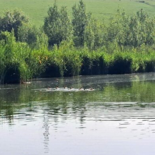 Tânăr de 27 de ani, găsit mort în mașină în zona iazului Hagigadar