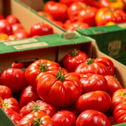 Lidl România va comercializa exclusiv roșii de la producători locali din iunie