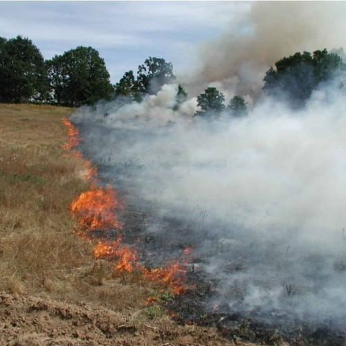 Incendiu în localitatea Vișina. Echipaje de urgență intervenție rapidă