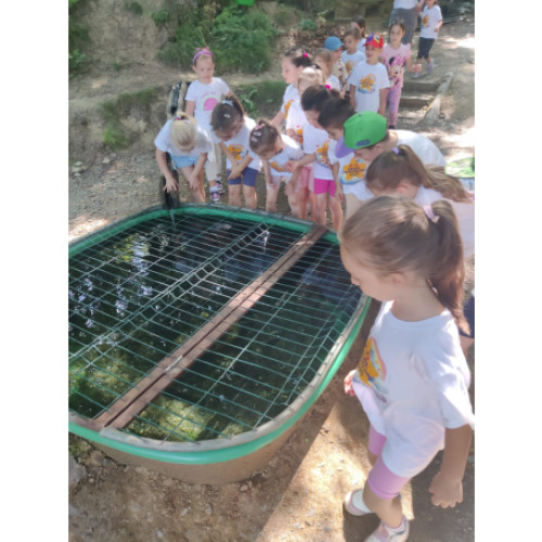 serbare finală pentru grupele mari ale grădiniței nr. 42