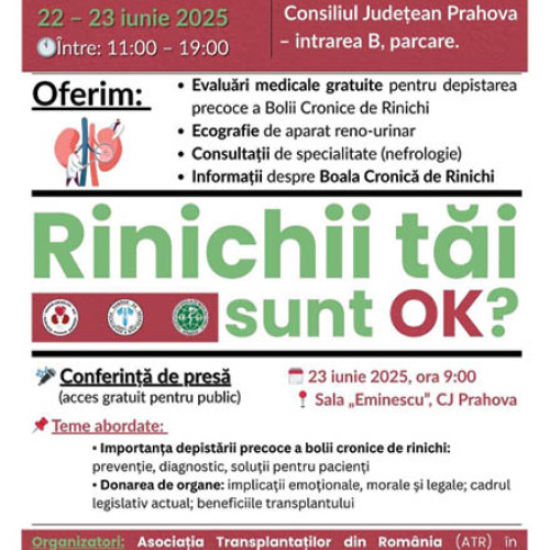 Nicoleta Dumitrescu, implicată într-un nou scandal