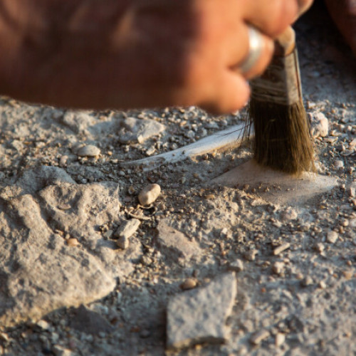 descoperire istorică în Parcul Național White Sands din New Mexico