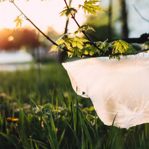 Plasticul reciclat pentru un mediu mai curat: o responsabilitate comună