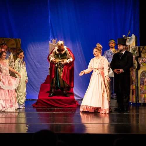 spectacol de păpuși la teatrul pentru copii calutul de mare în constanța