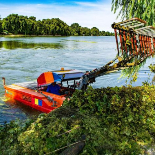 acțiune de ecologizare a lacului mogosoaia în județul ilfov