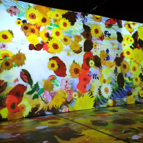 galatenii vor putea descoperi arta digitala si lumea subacvatica incepand din 5 iulie 2025