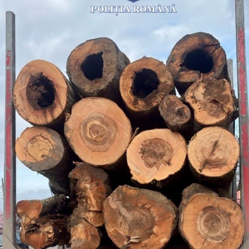 Polițiști și specialiști silvici aplică sancțiuni în valoare de 31.000 de lei pentru încălcări ale legii forestiere