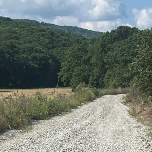 Drum de exploatare reabilitat în Petrești