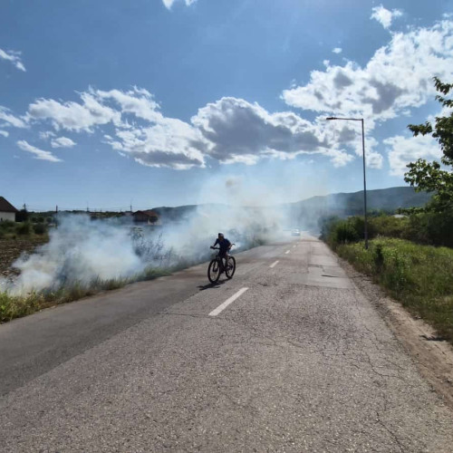 Incendiu de vegetație în Alba Iulia