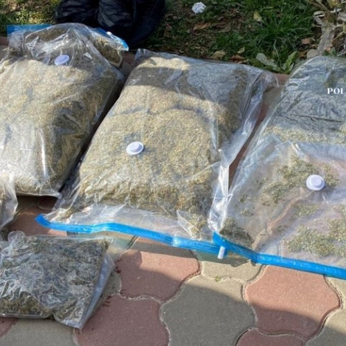 Trei persoane investigate pentru trafic de droguri de risc în Galați