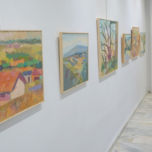 expoziție de artă a artistului Rosca Denisu-Petre la casa de cultură