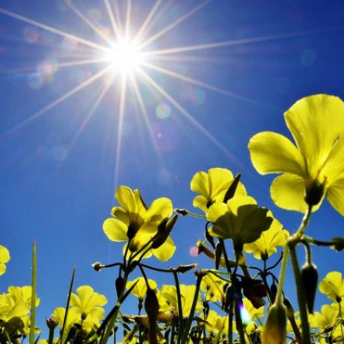 Solstițiul de vară, momentul celei mai lungi zile din an