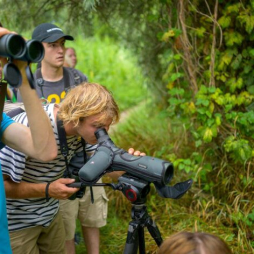 Parcul Natural Văcărești organizează o plimbare ghidată pentru iubitorii de natură