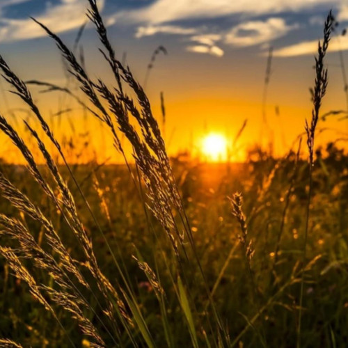 solstițiul de vară 2025: cea mai lungă zi a anului și începutul sezonului cald