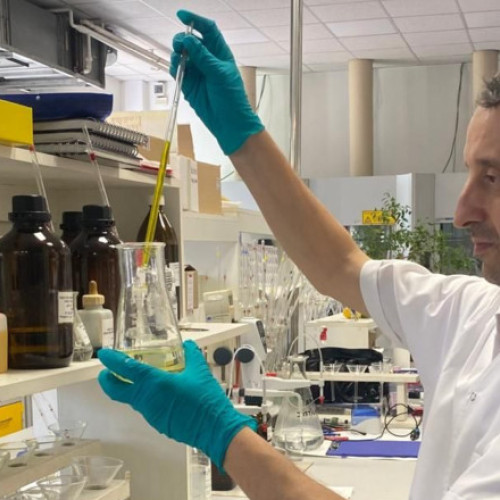 Salinitatea în râurile Tarnava Mica și Mureș continuă să scadă, anunță oficialii