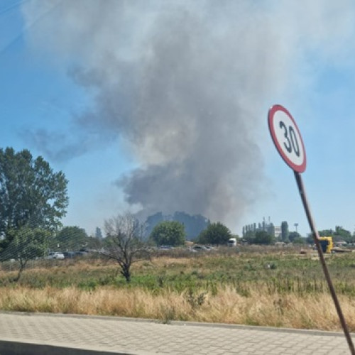 Incendiu în zona Agigea-Eforie