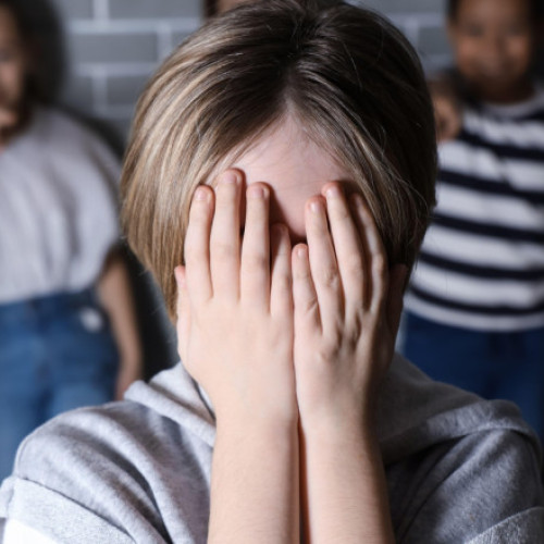 ministrul educației anunță măsuri pentru combaterea violenței și digitalizarea sistemului educațional