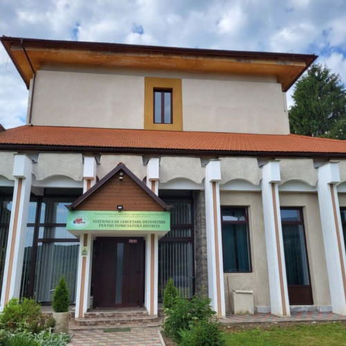 Statiunea Experimentala Pomicola Bistrita, o institutie cu o istorie de 75 de ani, și-a sărbătorit aniversarea, evidențiind realizările sale în domeniul cercetării pomicole. Directorul instituției, dr. Ioan Zagrai, a prezentat cele mai importante rezultate, care sunt rezumate și într-o carte aniversară primită de invitați. Aceasta sintetizează principalele etape ale evoluției stațiunii, contribuțiile științifice și impactul asupra pomiculturii românești.